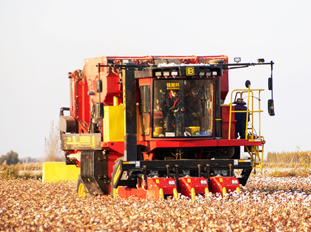 9001诚信金沙4MZD-3A型自走式圆捆打包棉花收获机