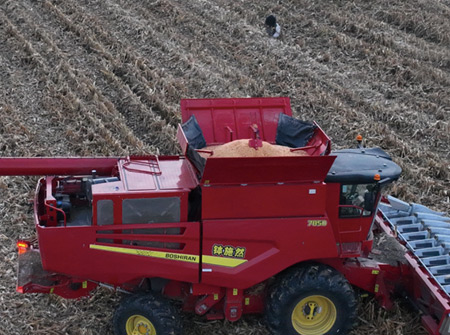 9001诚信金沙4YL-13 /4LZ-18型谷物收获机